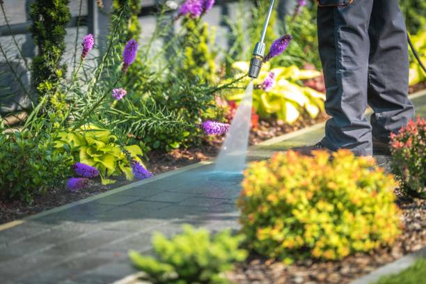 Best Animal Enclosure Cleaning  in Holmes Beach, FL